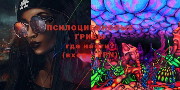 крисы Вяземский