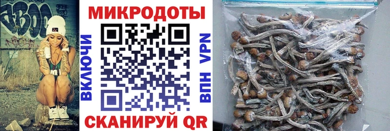 Купить Новодвинск Псилоцибиновые грибы Cubensis