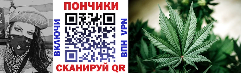 Канабис LSD WEED  Купить закладки  Новодвинск 